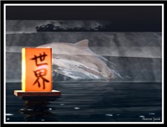 Dolfins 