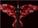 The Crow (5)
