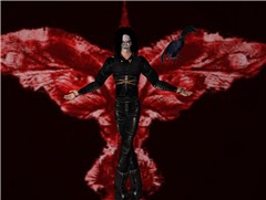 The Crow (5)