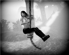 Rope Swing at Tempura