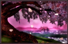 Cherry Tree