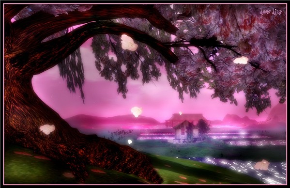 Cherry Tree