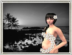 Hawaii2