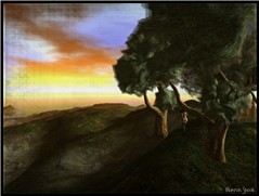 Rustica - Lost in the wood