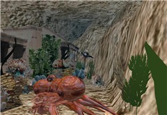 Under da SEEEAAAAAA - Socks Clawtooth