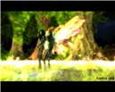 Midnight in the Forest at NPIRL