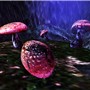 Relic_001