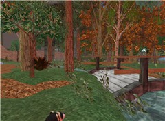Giverny Forest