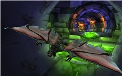 Vampire Bat!