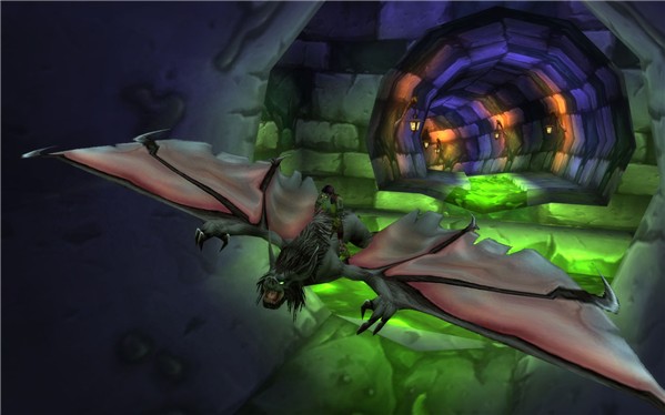 Vampire Bat!
