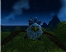 night flight