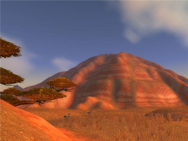 Exploring the wilderness