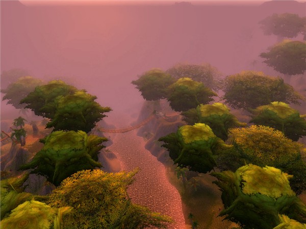 tree tops 