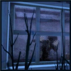at night