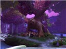Bear faced tree! 