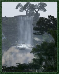 rainforest