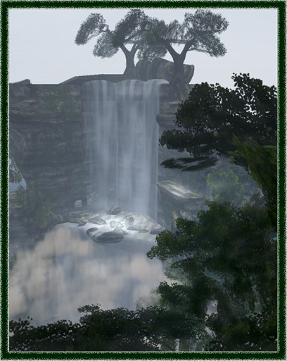 rainforest