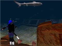 Sharks.  BIG shark! - Socks Clawtooth