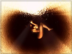 cryptic triptych iii - to forget
