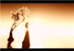 cryptic triptych ii - to leave