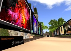 Exhibition on Orange Island - Natty Foggarty