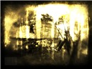 friendly fire