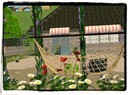 snapshot_94fdaa40_356c66c9