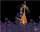 the beautiful musician