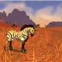 Zebra crossing