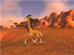 Another animal 
