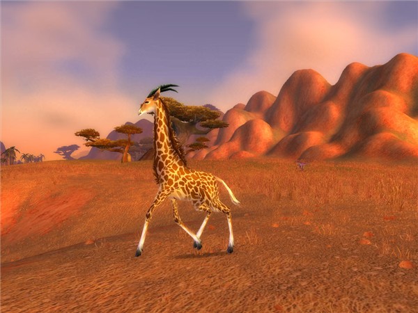 Another animal 