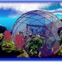 BIOSPHERE