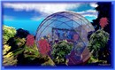 BIOSPHERE