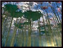 Under the surface