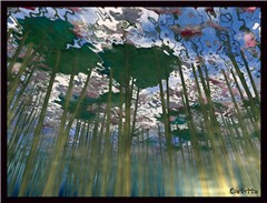 Under the surface