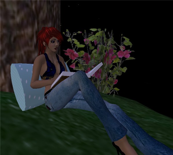Snapshot_068