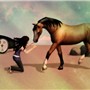 The Horse Whisperer