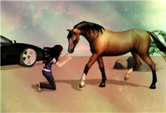 The Horse Whisperer