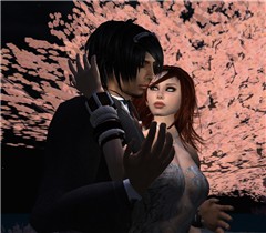 Snapshot_029
