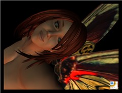 Flutter Me This