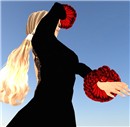 flamenco 24