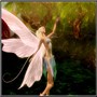 Straylights fairy