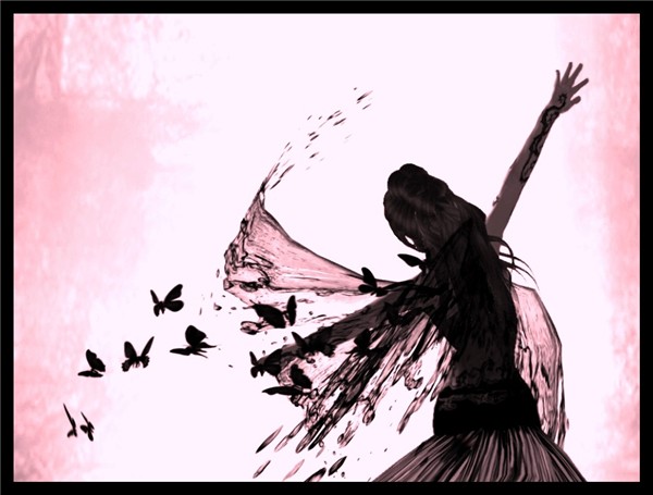 butterflies