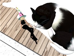 Snapshot_008