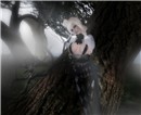 Lost in the fog
