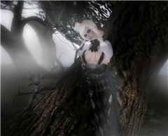 Lost in the fog