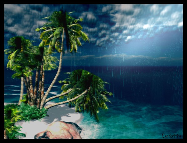 Rain