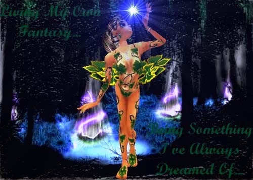 fairy forest2