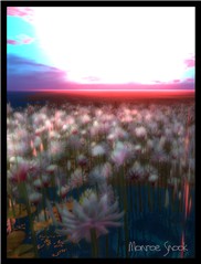 flower paddy