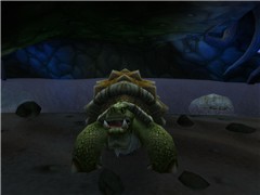 Nice turtle.. "cough"